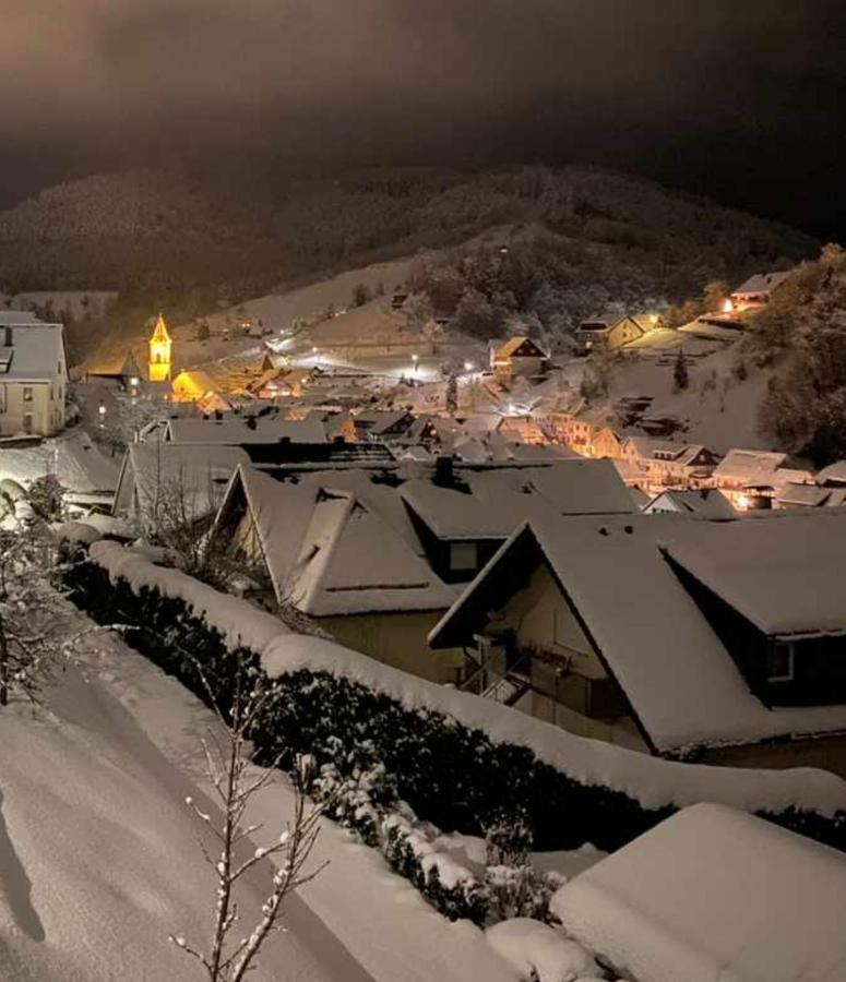 Gaestehaus Haaser Otel Bad Peterstal-Griesbach Dış mekan fotoğraf