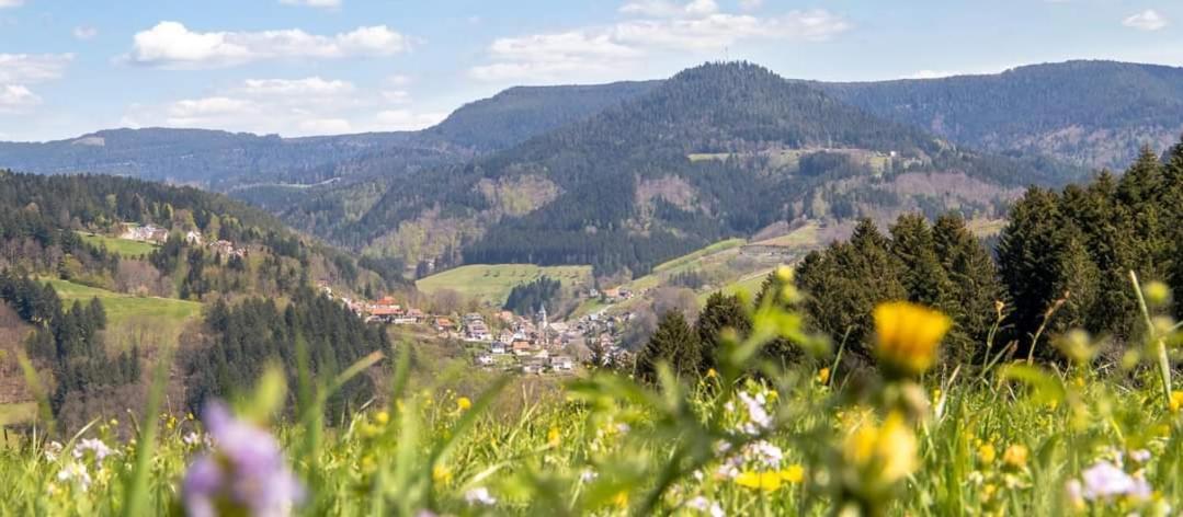 Gaestehaus Haaser Otel Bad Peterstal-Griesbach Dış mekan fotoğraf