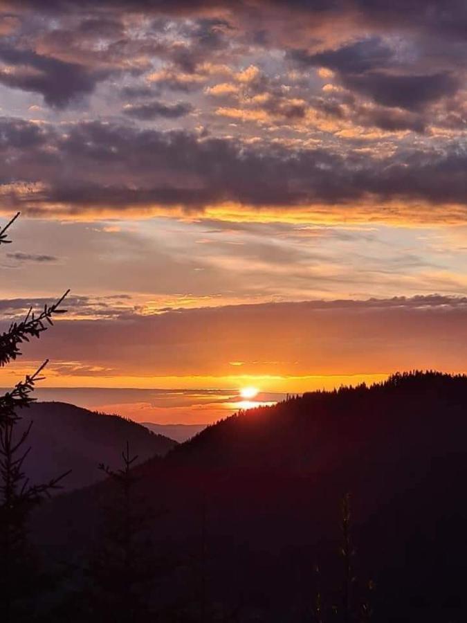Gaestehaus Haaser Otel Bad Peterstal-Griesbach Dış mekan fotoğraf