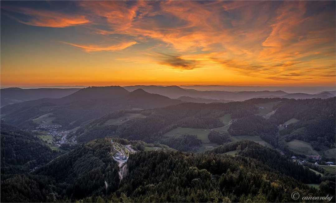 Gaestehaus Haaser Otel Bad Peterstal-Griesbach Dış mekan fotoğraf